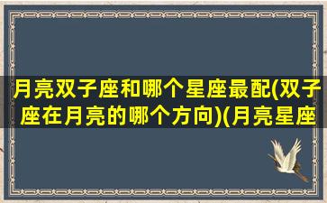 月亮双子座和哪个星座最配(双子座在月亮的哪个方向)(月亮星座 双子)